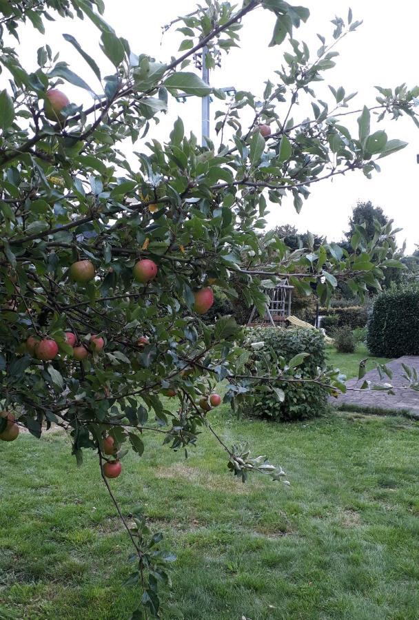 Derenbach Villa Franzen מראה חיצוני תמונה