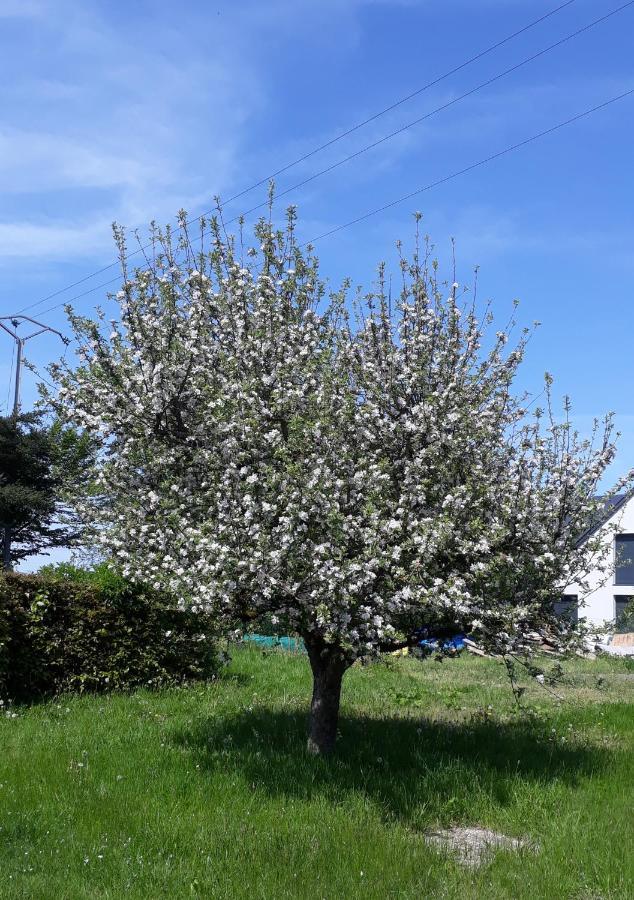 Derenbach Villa Franzen מראה חיצוני תמונה